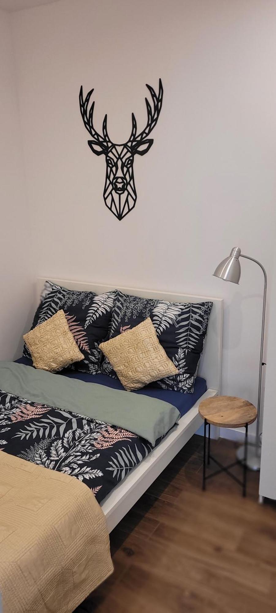 Apartament Z Historia Jelení Hora Exteriér fotografie